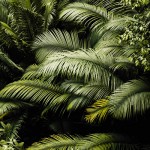 خواندن شعر عاشقانه حافظ طولانی