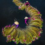 سایت همسريابي اغازنو