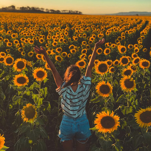 روش دانلود برنامه همسر یابی