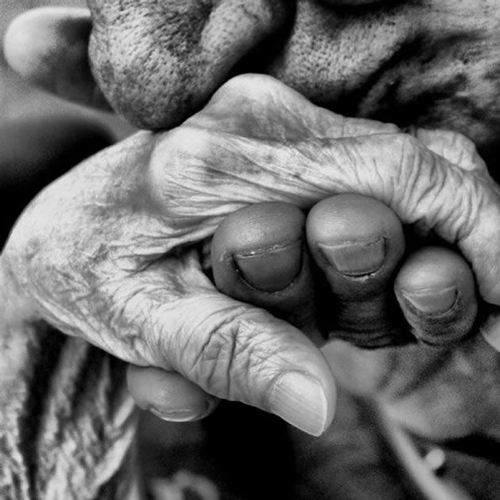 دیدن زنان صیغه ای شیرازی