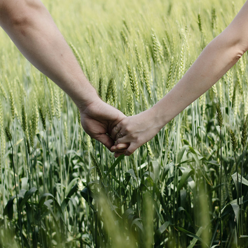 خواندن معنی صیغه محرمیت خواندن معنی صیغه محرمیت